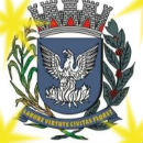 Avatar do usuário